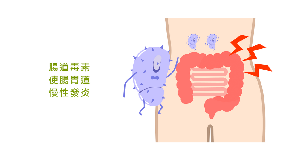 腸漏症候群容易引起過敏，益生菌能降低腸漏現象