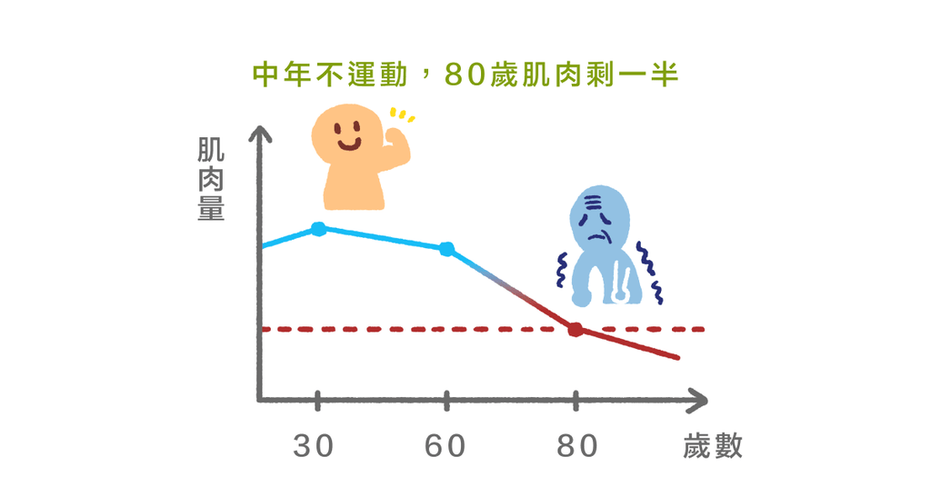 不運動?30 歲開始肌肉量就會慢慢減少!60 歲起流失更快! - Bestmade 人學院