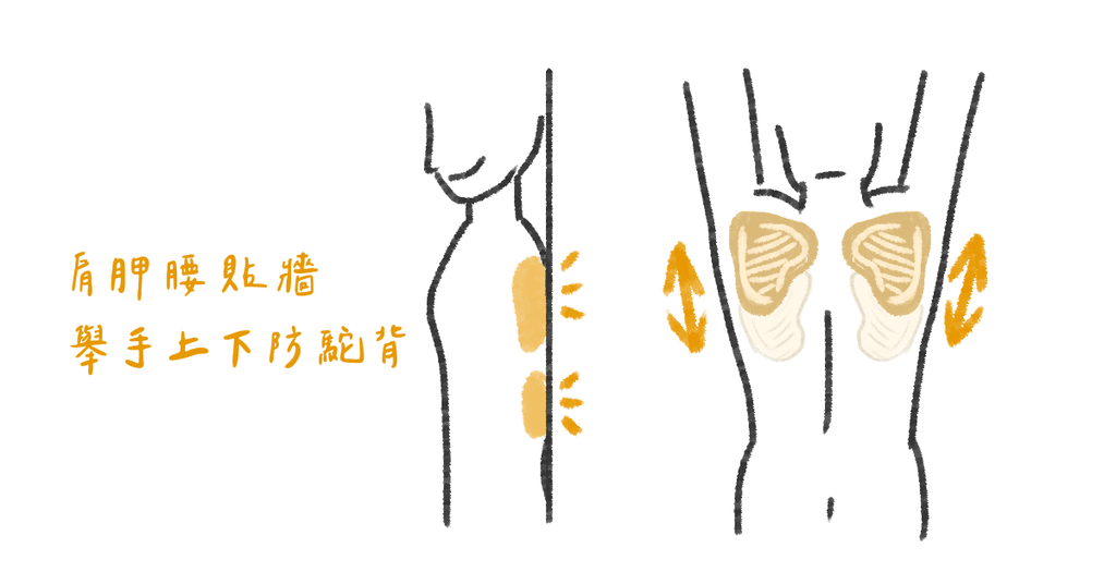 駝背身高秒減 3cm,該怎麼改善呢? - Bestmade 人學院