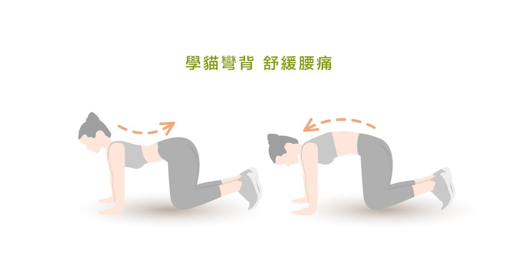 腰痛總是好不了?改善腰痛的4個自救運動 - Bestmade 人學院