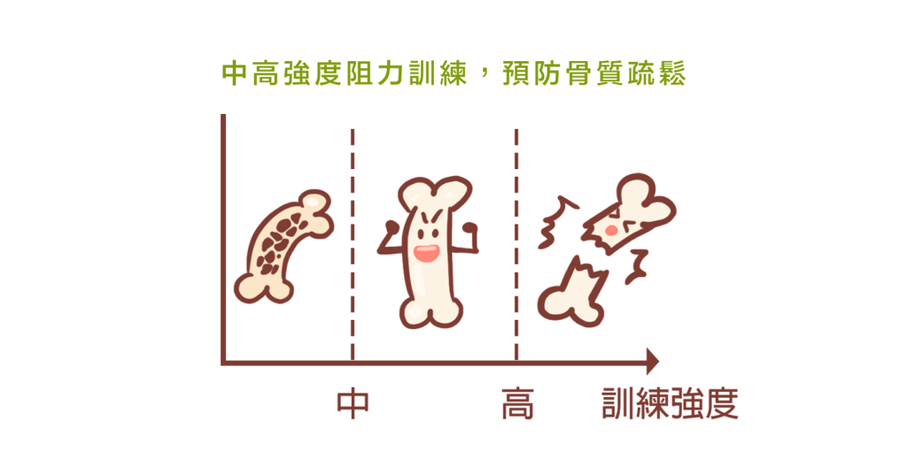 年過 40 必看,物理治療師教你:避免骨質疏鬆的運動與訓練重點 - Bestmade 人學院