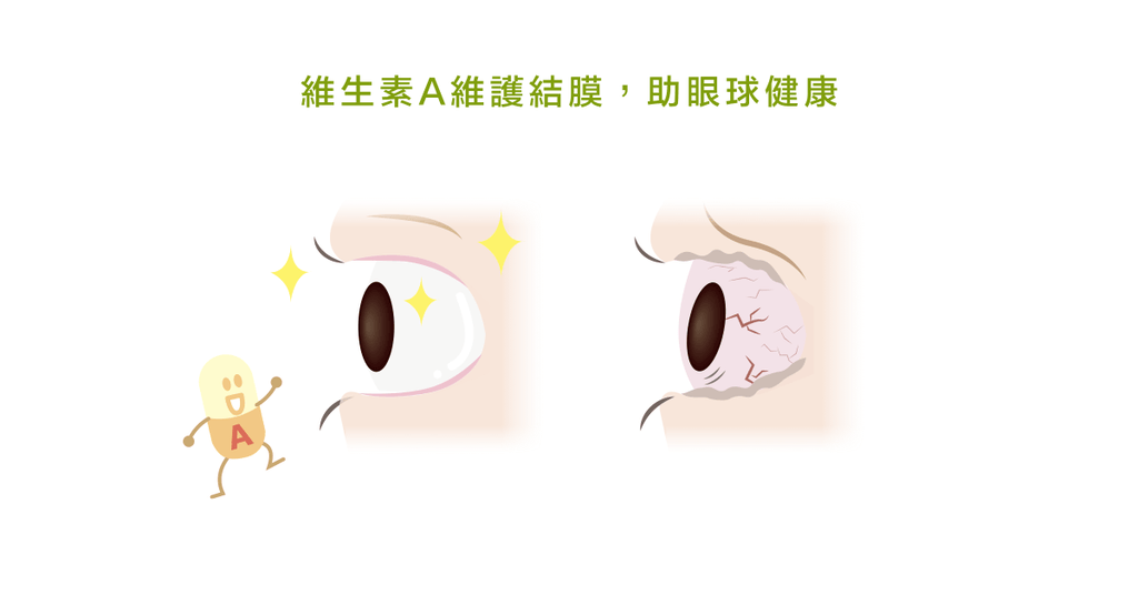 眼睛保養跟維生素 A 有什麼關係呢? - Bestmade 人學院
