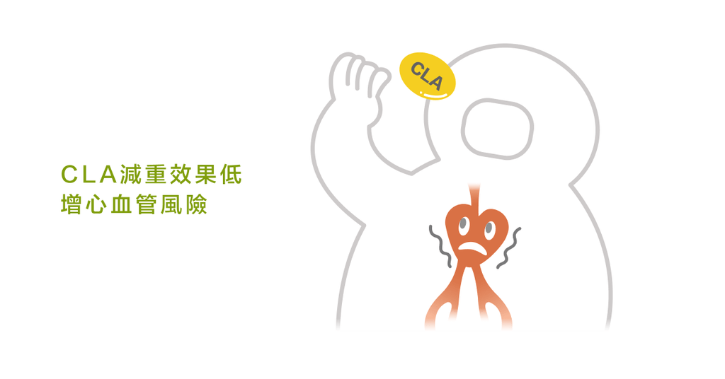 何謂「共軛亞麻油酸(CLA)」?對健美減脂有功效嗎? - Bestmade 人學院
