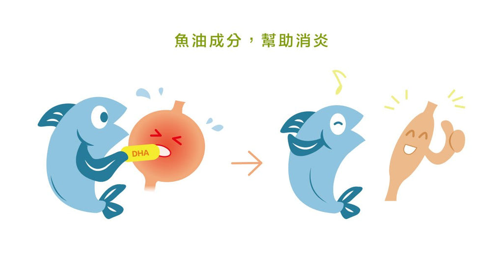 魚油是否會促進運動表現? - Bestmade 人學院