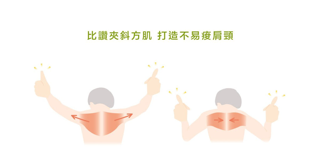 絕不低頭?有了完美頸椎,愛怎麼低,都行! - Bestmade 人學院
