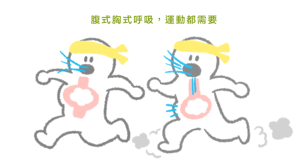 呼吸法訓練!(一):正確呼吸可以解決痠痛、提高運動效率! - Bestmade 人學院