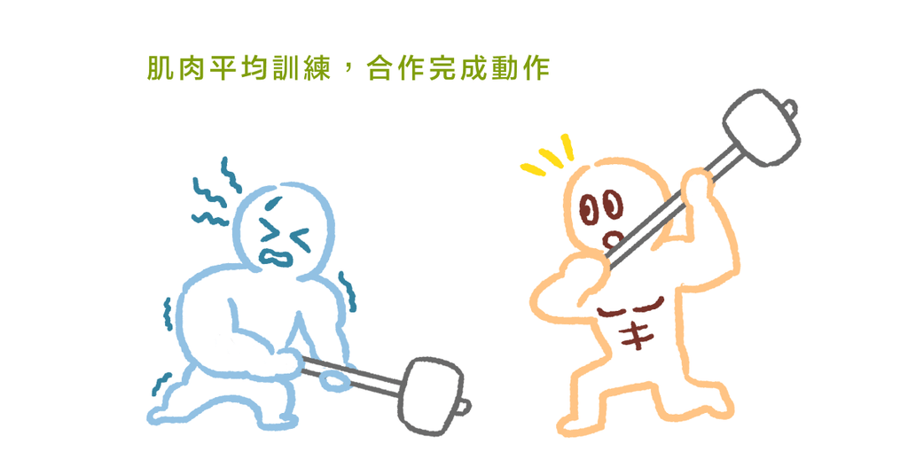 哪條肌肉最重要?物理治療師:天生我材必有用! - Bestmade 人學院