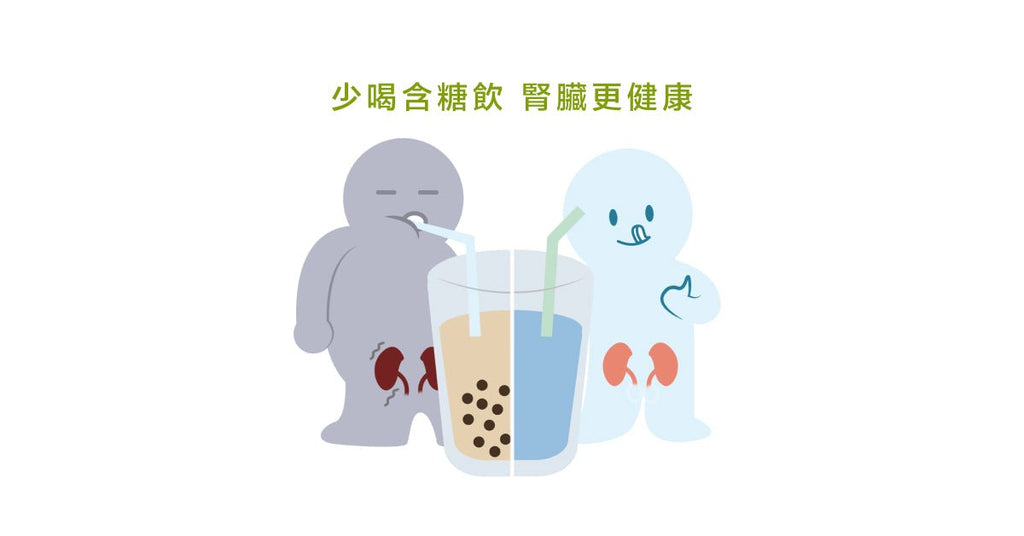 喝水大哉問--水的重要,以及如何正確喝水 - Bestmade 人學院