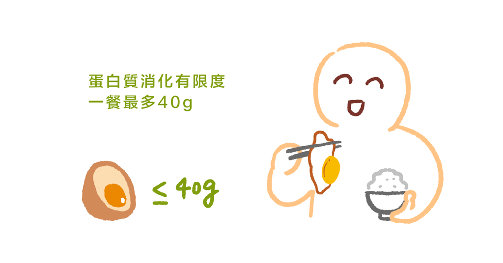 運動員的營養迷思(下)營養學教授:蛋白質補充過量也會變成脂肪! - Bestmade 人學院