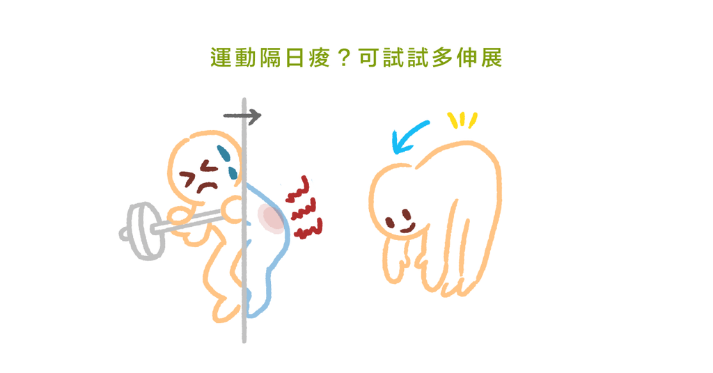 為什麼激烈運動隔天這麼痠痛?(二)遲滯性痠痛的預防與處理 - Bestmade 人學院
