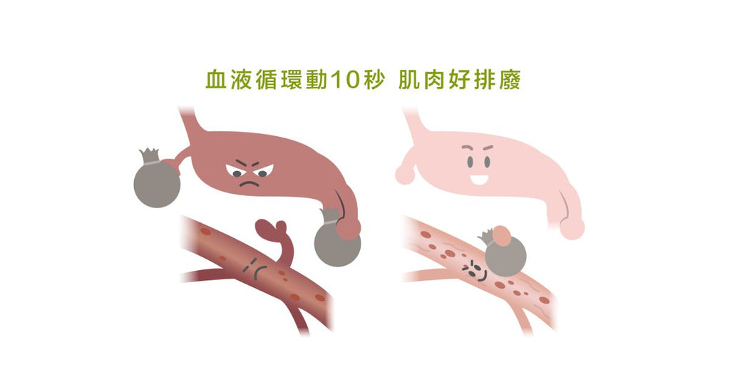 久站、久坐痠痛的秘密:肌肉的海綿理論 - Bestmade 人學院
