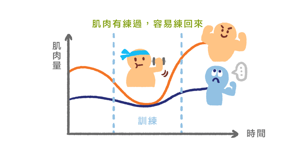 肌肉訓練長多快多大是天生?良好運動訓練可以強化基因表現! - Bestmade 人學院