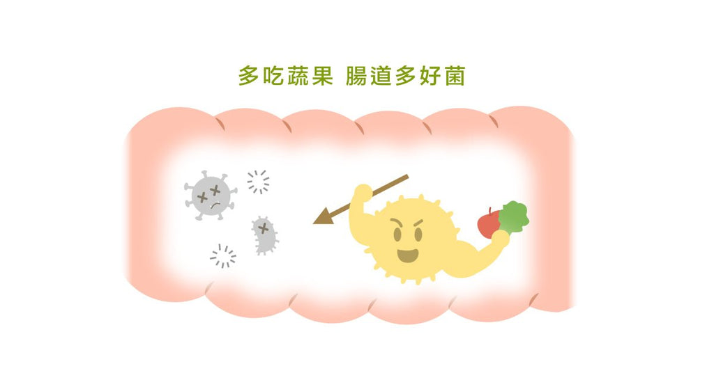 飲食助攻,把吃進去的益生菌越養越多 - Bestmade 人學院