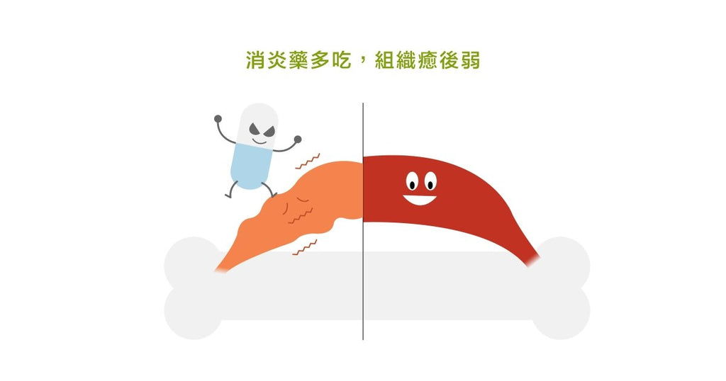 發炎是雙面刃?發炎,到底是好是壞? - Bestmade 人學院