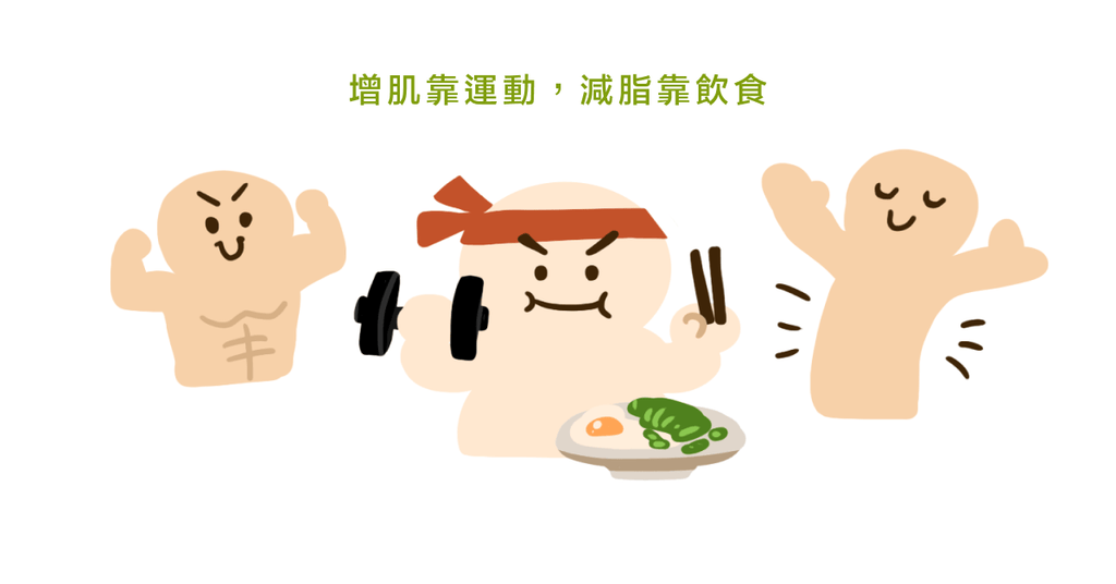 訓練腹肌就能消肚子?科學實驗證明:兩組人無明顯差異 - Bestmade 人學院