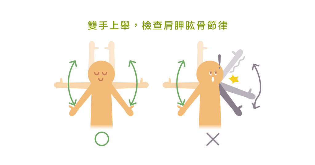 如何判斷「肩膀的原廠設定」?一定要了解肩胛肱骨節律! - Bestmade 人學院