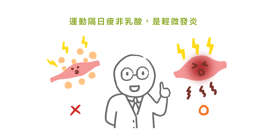 為什麼激烈運動隔天這麼痠痛?(一)物理治療師帶你認識遲滯性痠痛 - Bestmade 人學院