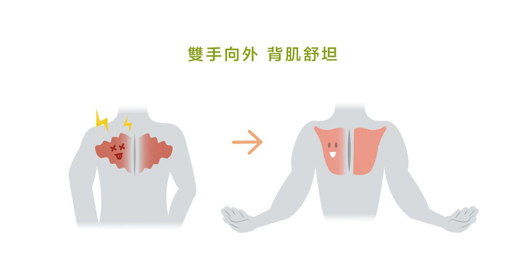 如何快速解決腰痠背痛?這招幫你恢復肌肉彈性! - Bestmade 人學院