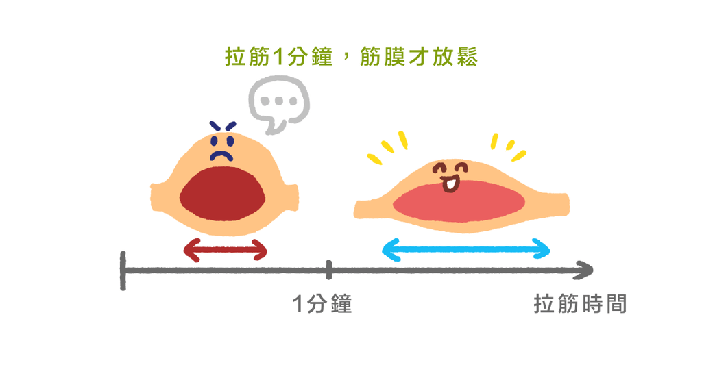 肌肉負責收縮,「筋膜」才是傳遞力量的關鍵! - Bestmade 人學院