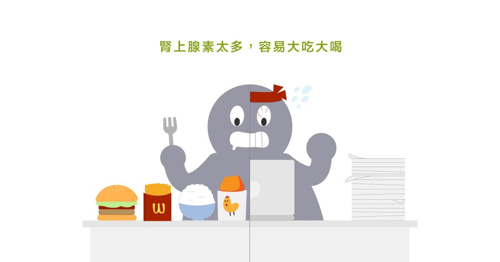搞定荷爾蒙,身體健康瘦 - Bestmade 人學院