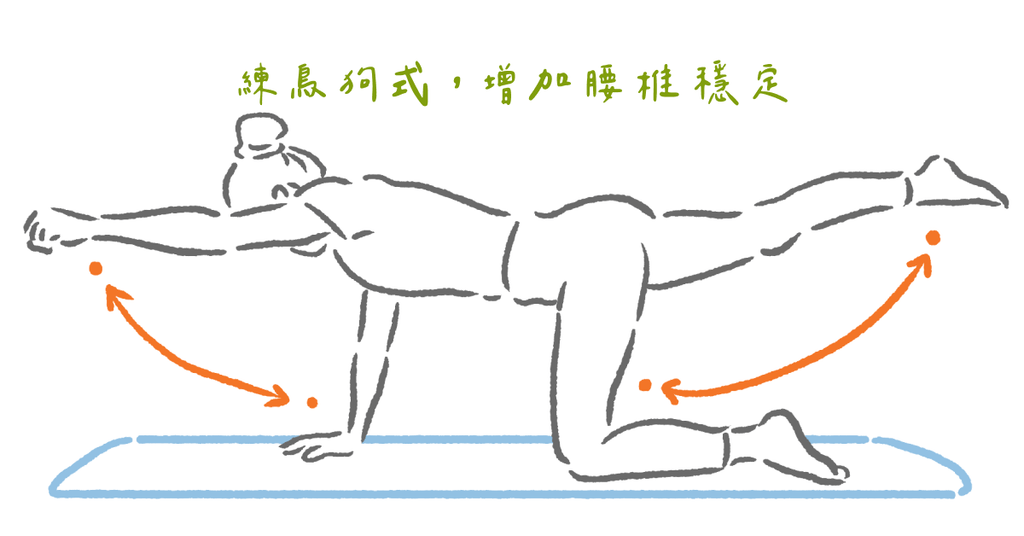 物理治療師:四招教你遠離腰痛(下) - Bestmade 人學院