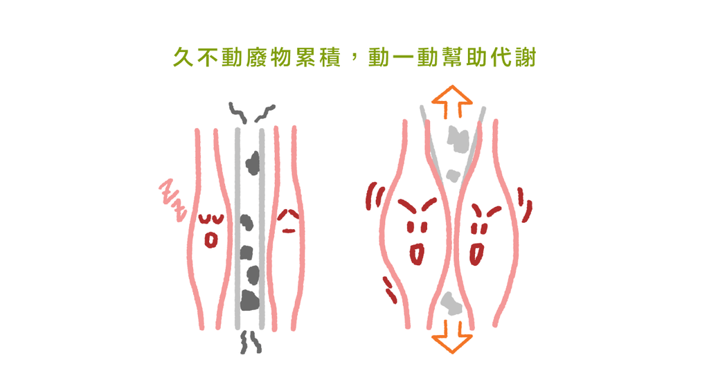 久站久坐痠痛的秘密:長時間不動,肌肉就像是「充滿廢水的海綿」! - Bestmade 人學院