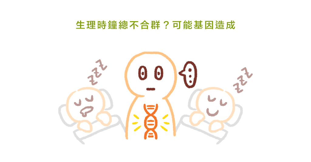 眾人皆睡我獨醒,「夜貓族」可能是基因在作怪?(上) - Bestmade 人學院