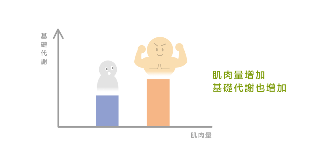 完美身材的不二法門!提升基礎代謝率! - Bestmade 人學院