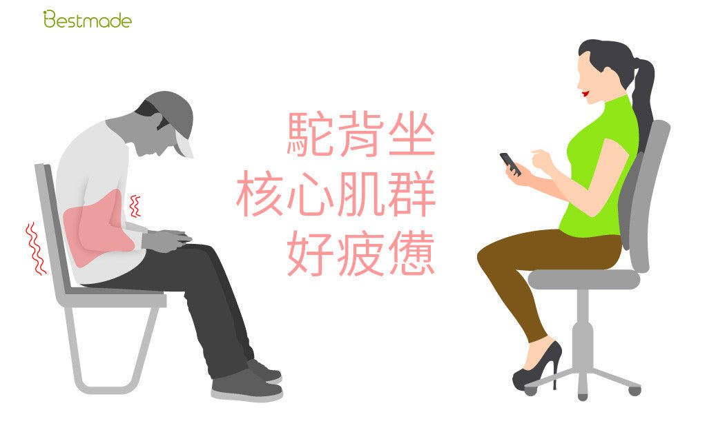 坐姿不良,讓核心肌群疲乏,下背跟著疼痛 - Bestmade 人學院