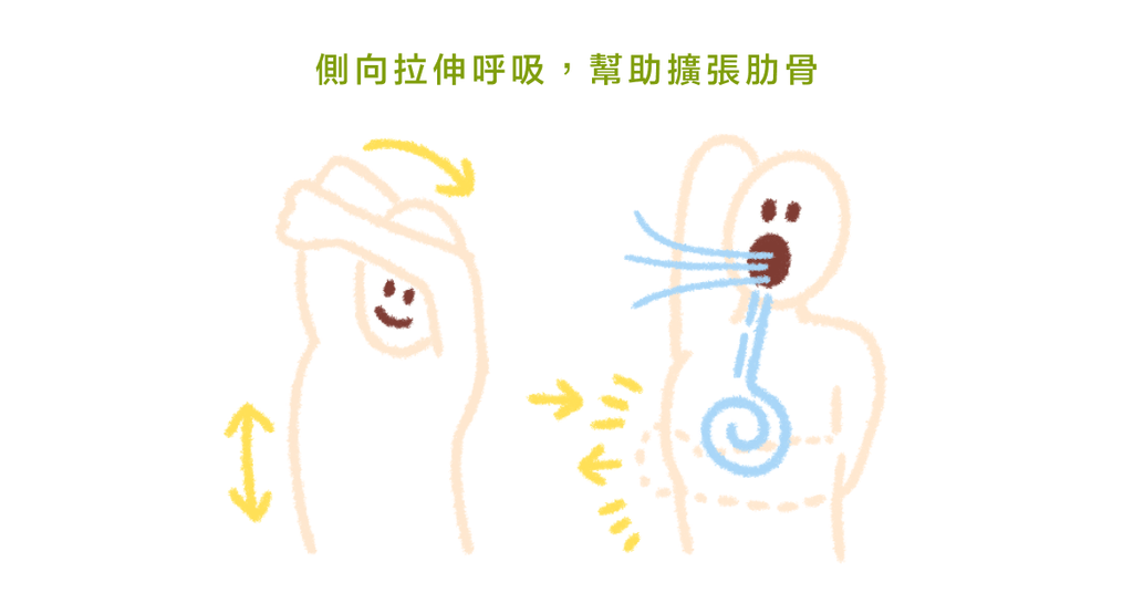呼吸法訓練!(三):十分鐘的活動度復原訓練 - Bestmade 人學院