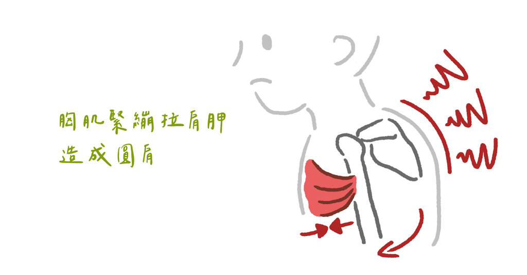 物理治療師剖析:兩大原因導致我們總是無法保持良好姿勢(下) - Bestmade 人學院