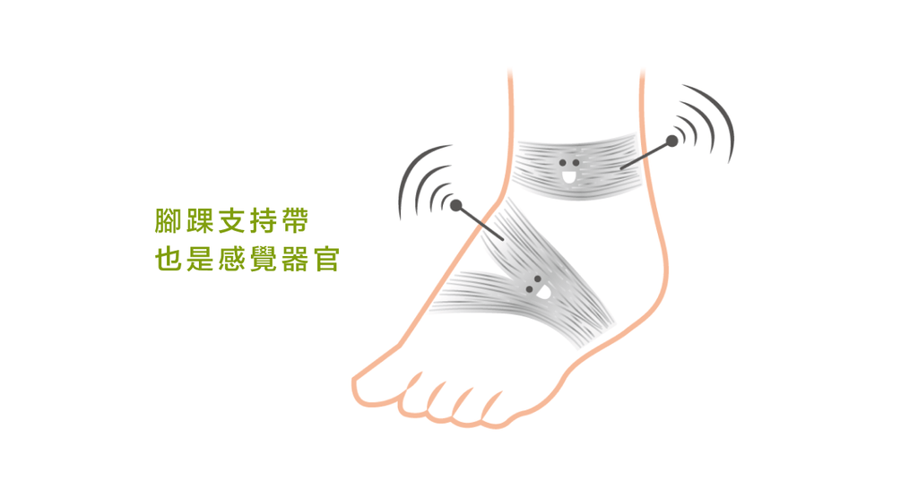 「腳踝支持帶」的隱藏功能? - Bestmade 人學院