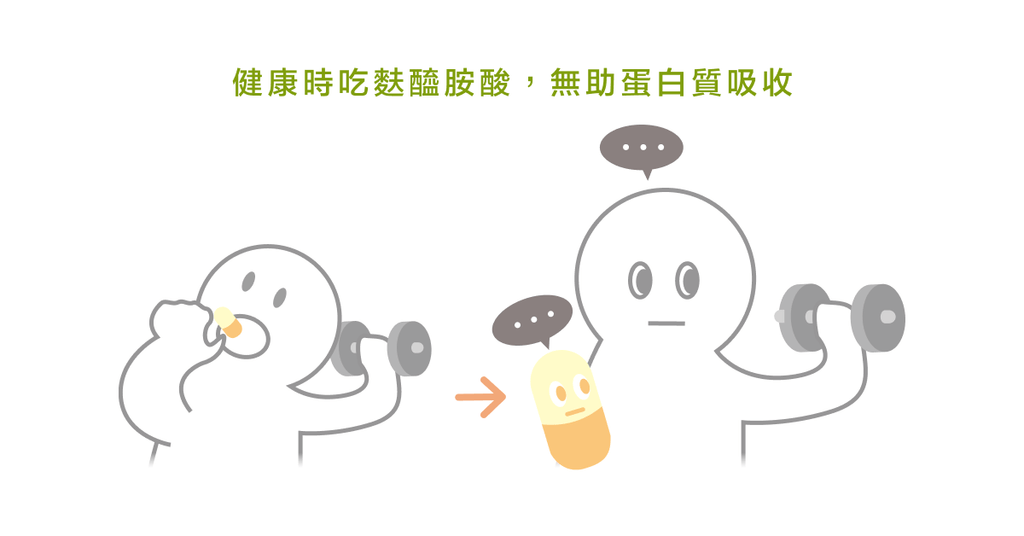 增肌必看--麩醯胺酸是否為好的增肌補充品? - Bestmade 人學院