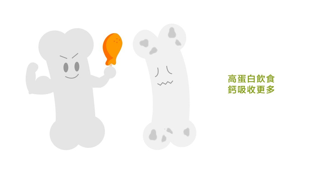 吃高蛋白會骨質疏鬆? - Bestmade 人學院