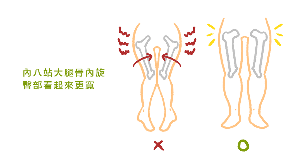 為什麼我的臀部這麼寬?(上):物理治療師告訴你造成假胯寬的原因 - Bestmade 人學院