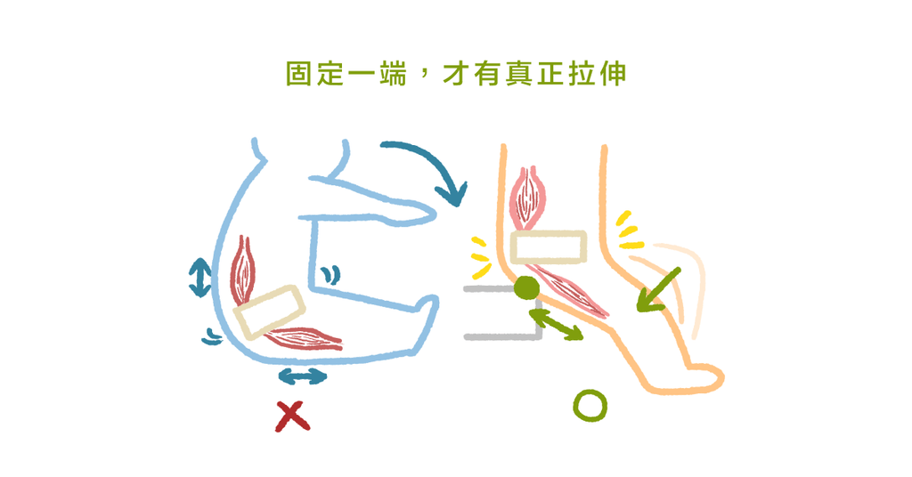 伸展其實沒有這麼簡單?物理治療師:正確伸展及該注意的事(上) - Bestmade 人學院
