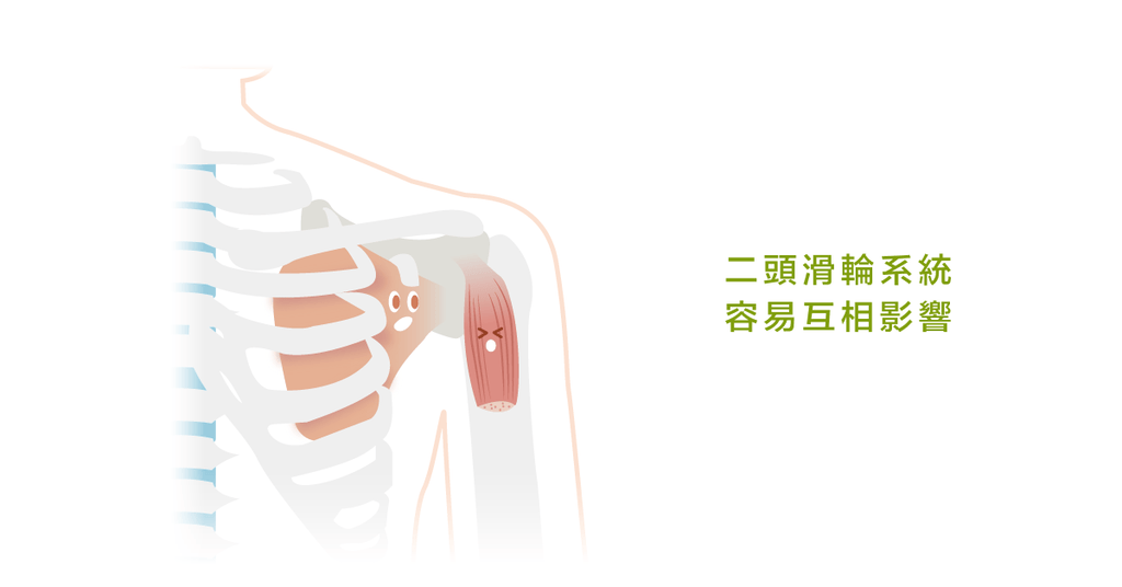 肩關節的問題......肩胛下肌受傷和二頭肌長頭有關係? - Bestmade 人學院