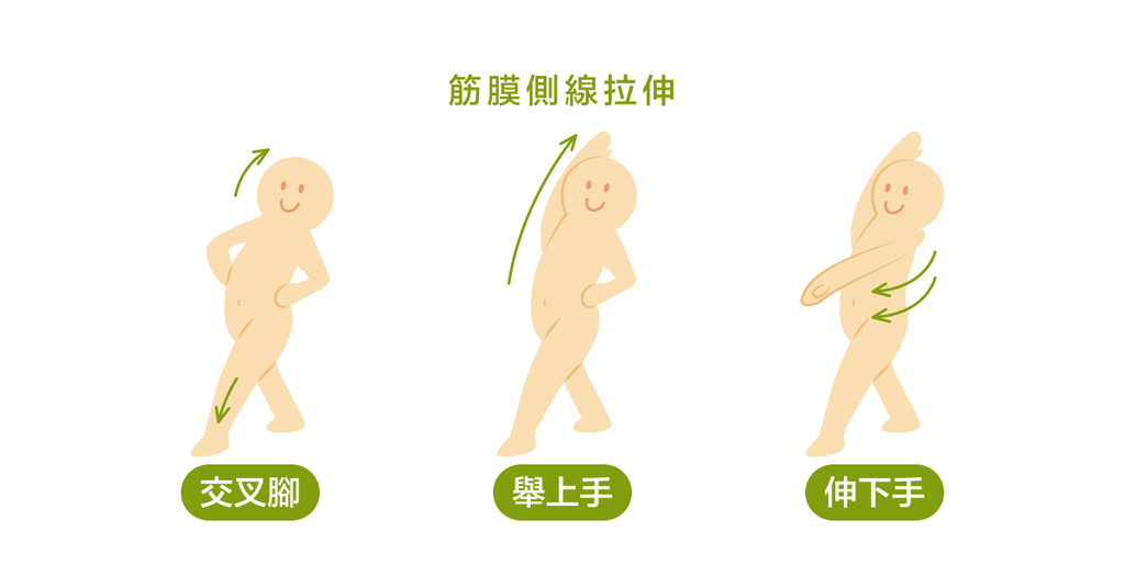 超級暖身運動,不容忽視的筋膜線動態拉筋(上) - Bestmade 人學院