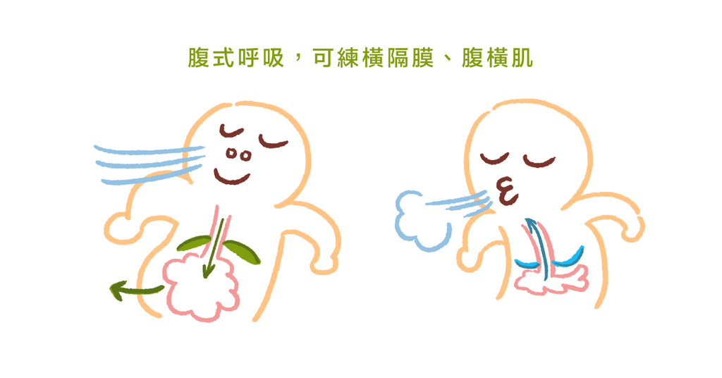 強化核心很重要!物理治療師告訴你核心肌群到底在哪裡(上) - Bestmade 人學院