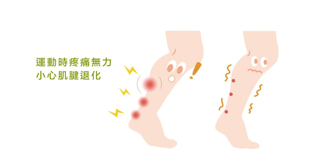 阿基里斯腱退化性病變的最佳解法-運動介入 - Bestmade 人學院