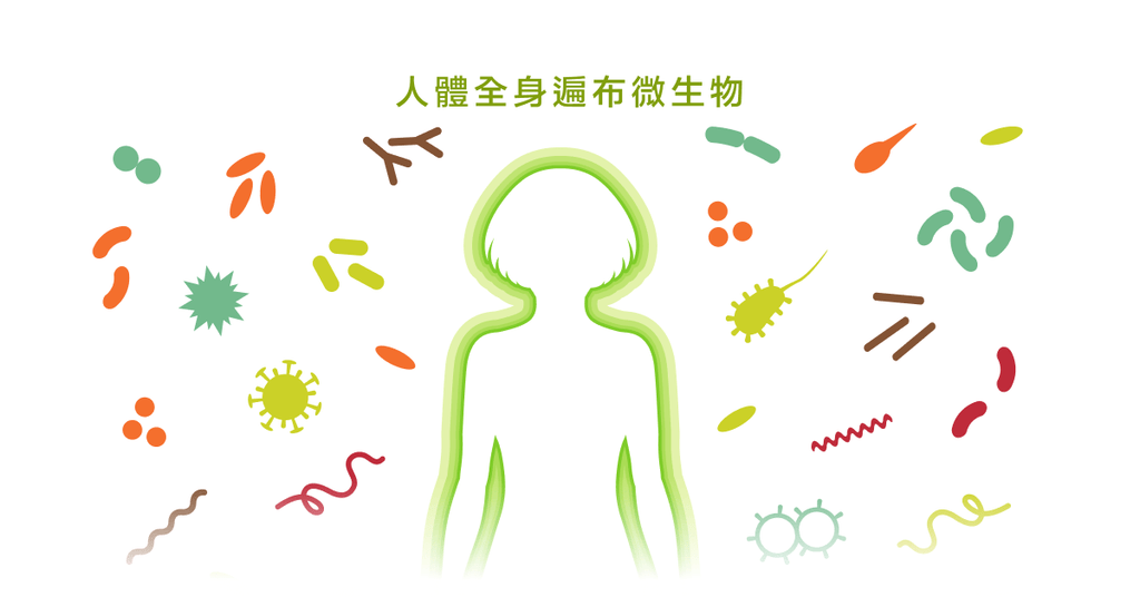 共生的"微"夥伴,沒有微生物,就沒有人類 - Bestmade 人學院