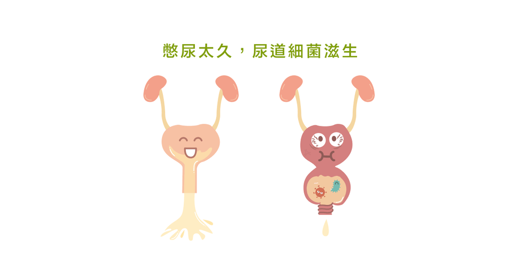 以為憋尿沒什麼?可能會有四大恐怖後果! - Bestmade 人學院