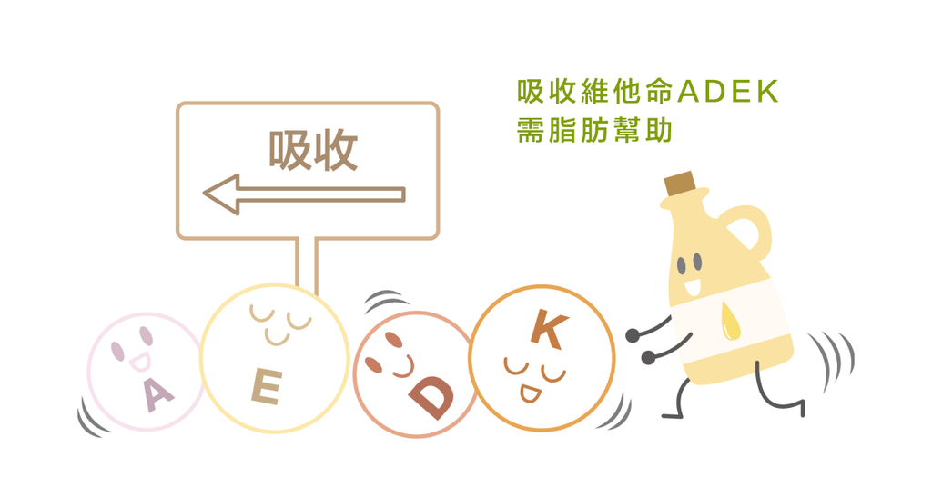 人見人怕的脂肪,真的這麼不好嗎--脂肪的價值 - Bestmade 人學院