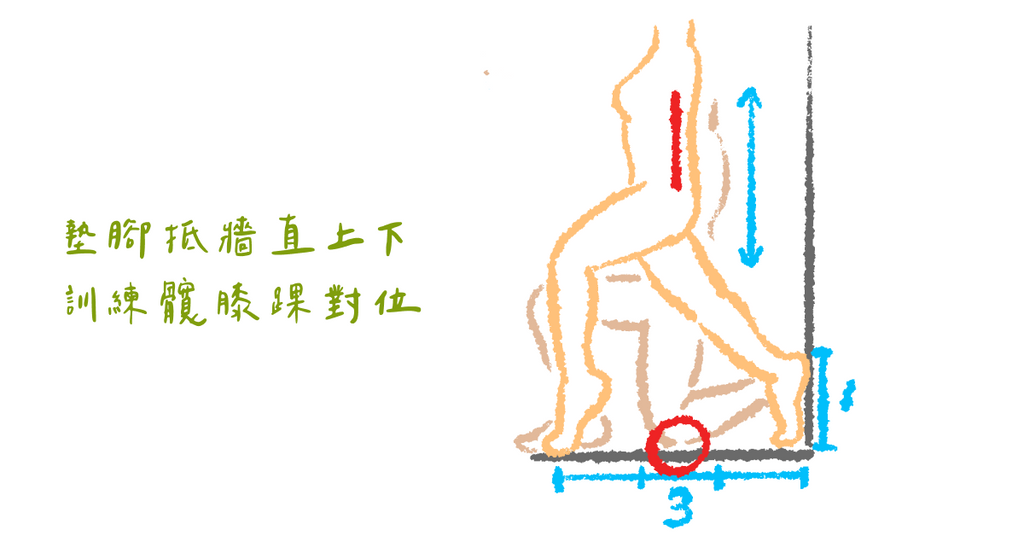 膝蓋內側痛的元凶及解法（四）：髖膝踝對位訓練