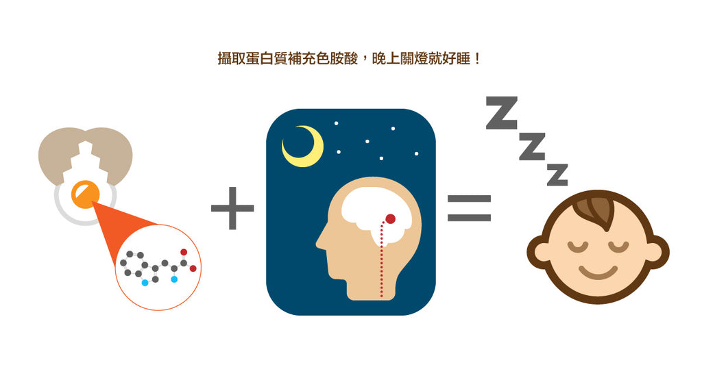 均衡攝取蛋白質，晚上關燈，降低失眠機率