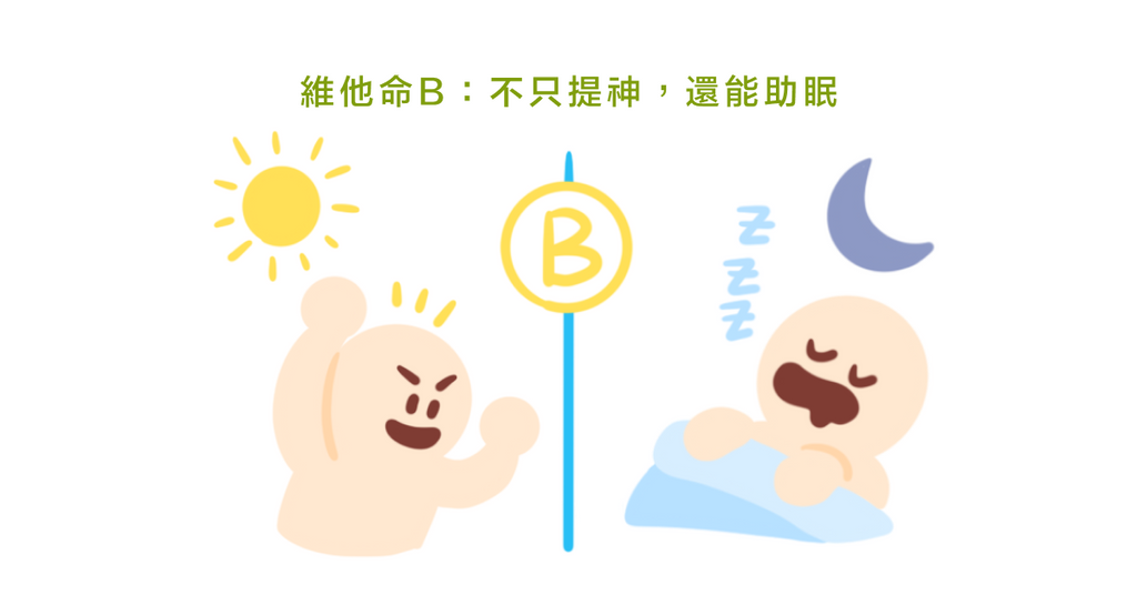 助眠食物大集合！六大助眠營養素：鈣、鎂、維生素B、維生素C、維生素D、Omega-3