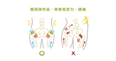 腰痛膝蓋痛，有可能是髖關節失能導致