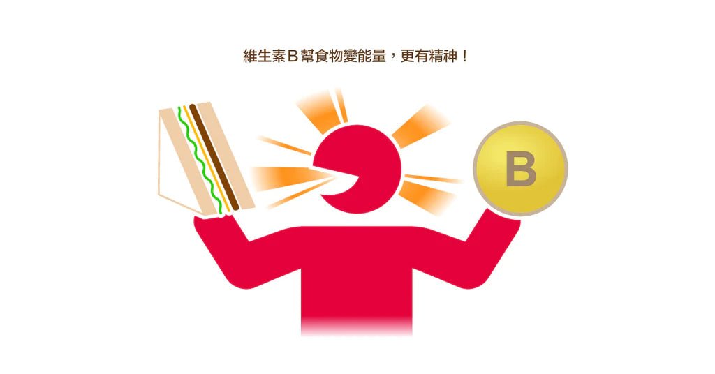 攝取 B 群精神好！現代人容易缺乏維他命 B 的四大原因 - Bestmade 人學院