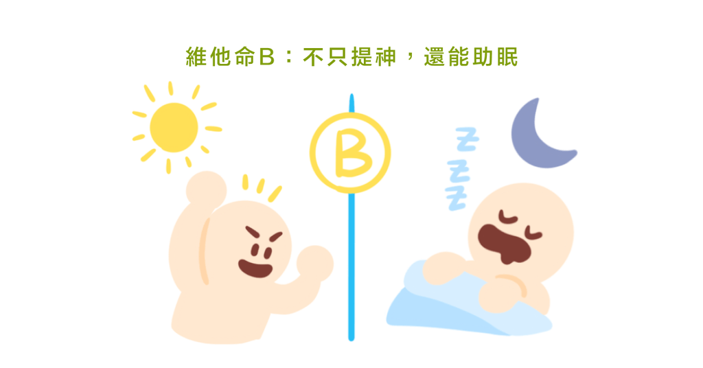 助眠食物大集合！六大助眠營養素：鈣、鎂、維生素B、維生素C、維生素D、Omega-3 - Bestmade 人學院