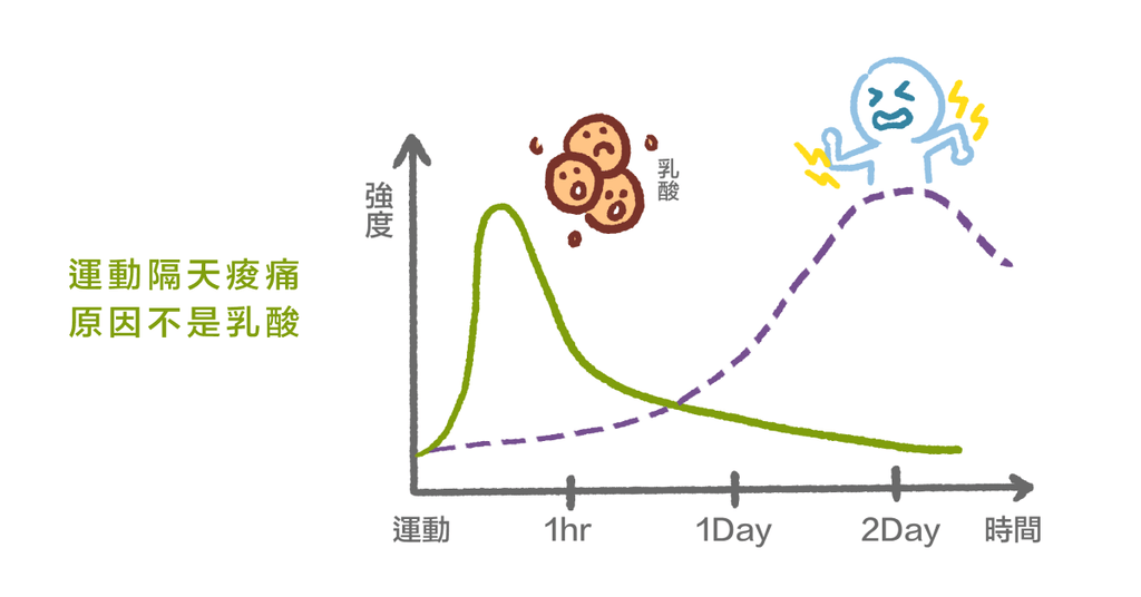 運動後痠痛都是「乳酸」惹的禍？物理治療師釐清乳酸與痠痛的關聯 - Bestmade 人學院